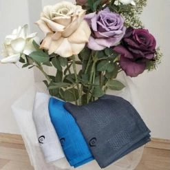 9 Stuks (3pack) Pella-EU - Schoonmaakdoeken - 9 Stuks - Microvezeldoekjes - Microvezeldoek - Microvezel Doek - Microvezel Doek Auto - Raamdoeken – Duurzaam – 40x60 Cm 15 9 Stuks (3pack) Pella-EU - Schoonmaakdoeken - 9 Stuks - Microvezeldoekjes - Microvezeldoek - Microvezel Doek - Microvezel Doek Auto - Raamdoeken – Duurzaam – 40x60 Cm -BISSELL-Winkel 472x840 1