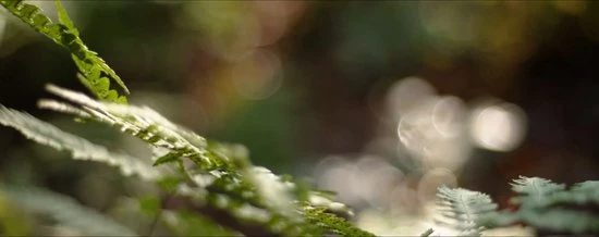 Mr. Green Mind Biozakken 40/45 Liter 60 Stuks Biologisch Afbreekbare Afvalzakken – 55 X 76 Cm - 100% Composteerbare Vuilniszakken - Incl. Dispenser - Gft Afvalzakken 4 Mr. Green Mind Biozakken 40/45 Liter 60 Stuks Biologisch Afbreekbare Afvalzakken – 55 X 76 Cm - 100% Composteerbare Vuilniszakken - Incl. Dispenser - Gft Afvalzakken - Afbeelding 2