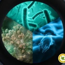 Samsung WW80T654ALE - AddWash - 6000 Serie - Wasmachine -BISSELL-Winkel 550x309 1