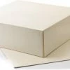 Liveup 10 Stuks - Taartdoos Karton - 25x25x8 Cm - Duplex - Cake Doos - Gebaksdoos Karton -BISSELL-Winkel 550x311 3