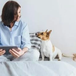 Xiaomi MI Mini Handstofzuiger - Kruimeldief - Wit -BISSELL-Winkel 550x316 3