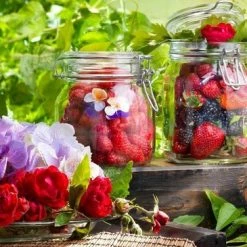 Bormioli Rocco Rocco Bormioli Fido Weckpot 1,5 L -BISSELL-Winkel 550x365 4