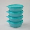 Tupperware 4 Stuks Ruimteschaaltjes 300 Ml -BISSELL-Winkel 550x366 33