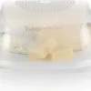 Tupperware Kaasdoos Medium -BISSELL-Winkel 550x397 1
