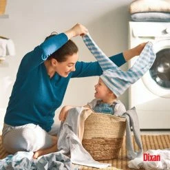 Dixan Extreme Power Waspoeder - Poeder Wasmiddel - 58 Wasbeurten -BISSELL-Winkel 550x550 1039