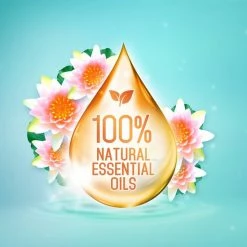 Frisse Reus Lotus Amandel Gel Wasmiddel - Vloeibaar - 80 Wasbeurten - Voordeelverpakking -BISSELL-Winkel 550x550 155