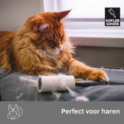 Koflergoods - Kledingroller - Kleefroller - Set Van 6 Stuks - Plakroller - Stofroller - Pluisroller - Haren Opruimen - Stof Verwijderen 11 Koflergoods - Kledingroller - Kleefroller - Set Van 6 Stuks - Plakroller - Stofroller - Pluisroller - Haren Opruimen - Stof Verwijderen -BISSELL-Winkel 550x550 364