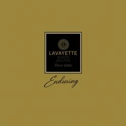 Lavayette Premium Wasparfum / Morning Dance / Geurbooster 500ml -BISSELL-Winkel 550x550 505