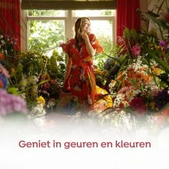 Robijn Klein & Krachtig Wasmiddel Zwitsalgeur 4x 1190 Ml -BISSELL-Winkel 550x550 748