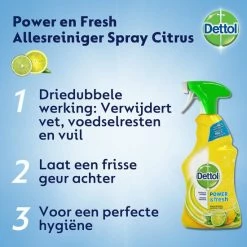 Dettol Allesreiniger Spray Power & Fresh - Citrus - 500ml X12 -BISSELL-Winkel 550x550 77