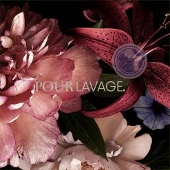 Lavayette Premium Wasparfum / Prairie Rose / Geurbooster 500ml / 50 Wasbeurten -BISSELL-Winkel 550x550 907